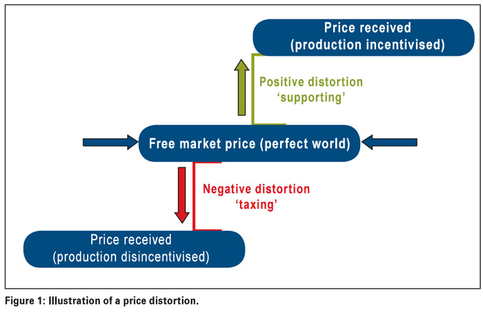 The INEFFICIENT producer? Questioning the South African wheat value chain’s core competitiveness