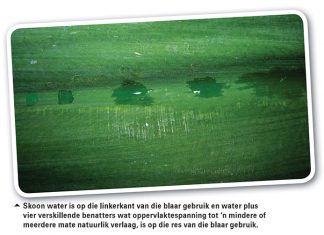 Oppervlaktespanning is belangrik vir plaagbeheer