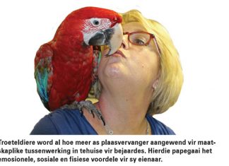 Dieresiektes wat die mens aantas Deel 2: Mens-dierverhouding en voordele van diere