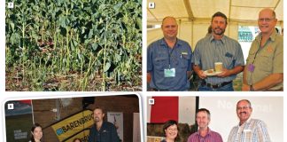 Bewaringskonferensie fokus op BIODIVERSITEIT