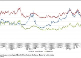 White maize meal prices and trends from shortage to deficit – Part 2