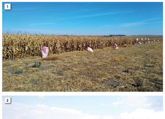 Spotlight on second year’s CA results