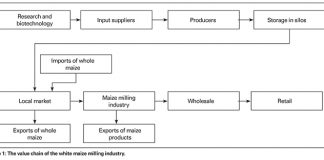 Factors affecting price of maize meal Part 1