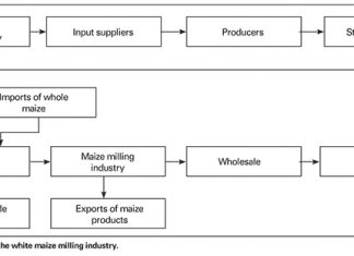 Factors affecting price of maize meal Part 1