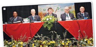 Boublokke…hoe lyk jou fondasie vir winsgewendheid