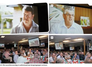 Vind optimale balans tussen insette en inkomste