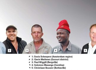 Mentorship ‘Bringing light into darkness’