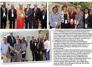 A new era in wheat breeding