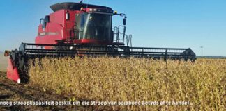 Beplanning en bestuur maak sojaboonproduksie by Viljoenskroon moontlik
