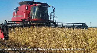 Beplanning en bestuur maak sojaboonproduksie by Viljoenskroon moontlik
