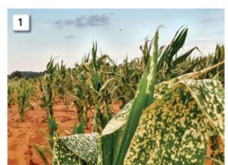 Bestuur en voorkoming van wegdrywing van landbouchemiese middels