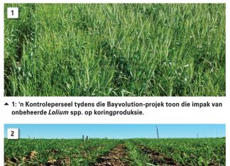 Bestuur onkruiddoderweerstand slim