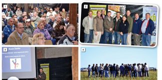 Bewaringsdag fokus op dekgewasse en vee-integrasie