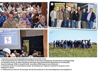 Bewaringsdag fokus op dekgewasse en vee-integrasie