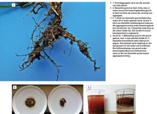 Bewaringslandbou bevorder aggregaatvorming en -stabiliteit