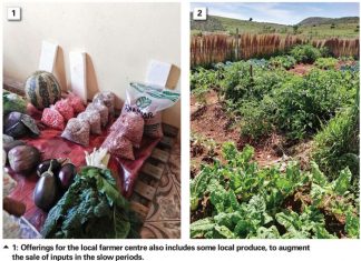 CA builds a better life for Bergville women