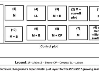 Na-stroopbemarking van nader bekyk