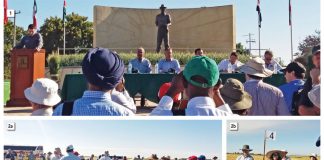 Chasing wheat yields in challenging environments – ARC a proud member of IWYP