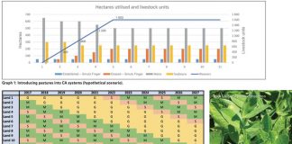 Create sustainable production through crop and pasture-based systems