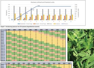 Create sustainable production through crop and pasture-based systems