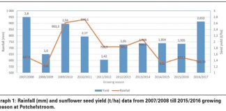 Delayed planting impacts sunflower yield
