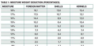 Determine actual weight of wet pod groundnuts accurately