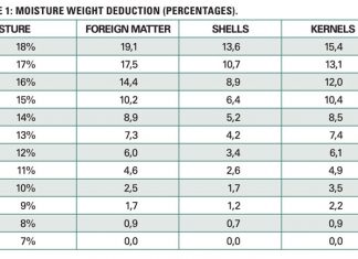 Determine actual weight of wet pod groundnuts accurately