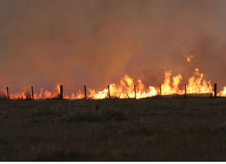 Die koste van ‘n vuurhoutjie