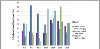 Does the area planted to wheat influence the distribution of Russian wheat aphid biotypes?