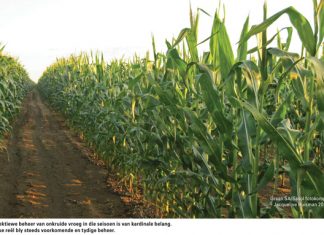 Effektiewe onkruidbeheer laat die winste in die sak klingel