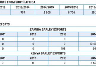Expansion of SA barley exports: Are there opportunities?