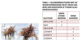 Gasheerweerstand teen knopwortelaalwurms in plaaslike sojaboonkultivars