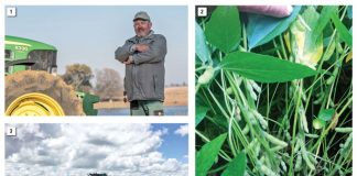 Gee híéraan aandag – DuPont Pioneer Weeg en Wen-wenner sê wat hulle doen