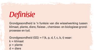 Grondgesondheid: Wat is dit en hoe word dit gemeet?