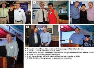 Harbours and handlers hit bullseye with grain imports