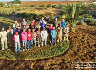 Jireh Boerdery: Waar broers saamwerk om doelwitte te bereik – Graan SA/Syngenta Graanprodusent van die Jaar finaliste