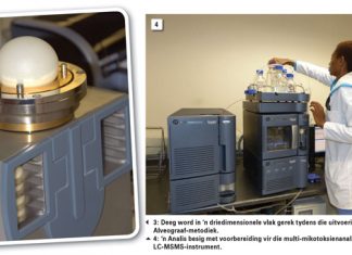 Kwaliteitsresultate van die 2016/2017-koringoesopname
