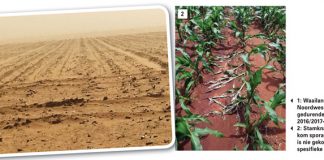Lesse geleer uit die 2016/2017-plantseisoen