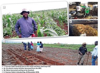 Local best practice options in CA investigated – Case study 2