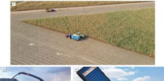 Mieliekuilvoer as alternatiewe manier van mieliebemarking
