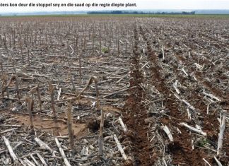 Direkte plant-proewe in Suid-Afrika – ‘n oorsig oor vyf jaar