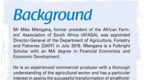 The way forward – through the eyes of Mike Mlengana