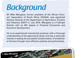 The way forward – through the eyes of Mike Mlengana