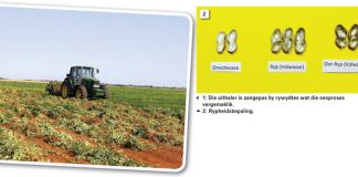 Gebeure in die grondboonlande: Februarie tot Maart