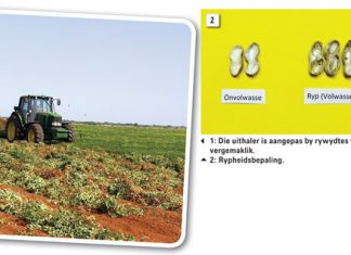 Gebeure in die grondboonlande: Februarie tot Maart