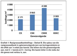 Raaigras-dinamika in die Swartland