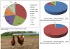 Importance of the poultry industry within the grain and oilseeds value chain