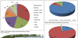 Importance of the poultry industry within the grain and oilseeds value chain