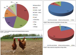 Importance of the poultry industry within the grain and oilseeds value chain