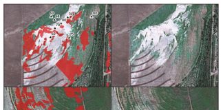 Salt-affected soils and waterlogging on irrigation schemes